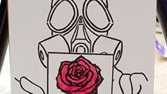 Spray Rose