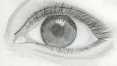 Eyes